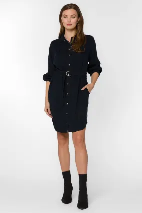 Dessa Overdye Indigo Shirtdress